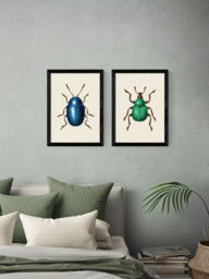 EAST END PRINTS Natural History Museum 'Beetles' Framed Print, Set of 2 - thumbnail 2