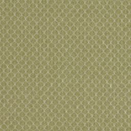 Clarke & Clarke Trelica Made to Measure Curtains or Roman Blind, Olive