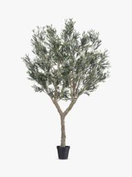 Vistafolia Artificial Cielo Verdi Olive Tree in Pot, 270cm, Green - thumbnail 1