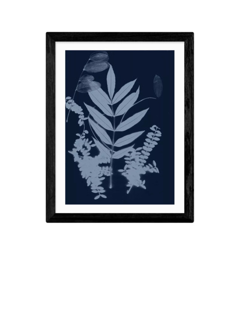 EAST END PRINTS Herald Black 'Cyano Foliage 1' Framed Print - image 1