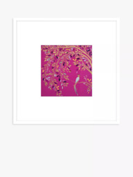 John Lewis Sara Miller 'Songbird' Framed Print & Mount, 52 x 52cm, Pink - thumbnail 1