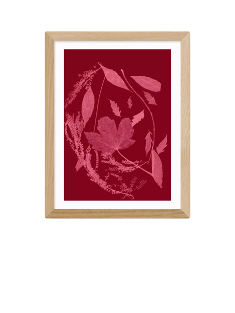 EAST END PRINTS Herald Black 'Red Foliage' Framed Print