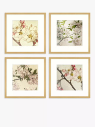 John Lewis Print Punk Studio 'Vintage Blossom' Framed Print & Mount, Set of 4, 32 x 32cm, Multi - thumbnail 1