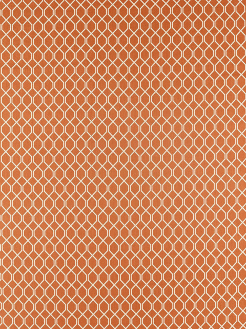 Sanderson Botanic Trellis Made to Measure Curtains or Roman Blinds, Papaya - image 1