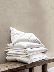 Piglet in Bed Merino Wool Organic Standard Pillow, Medium - thumbnail 2