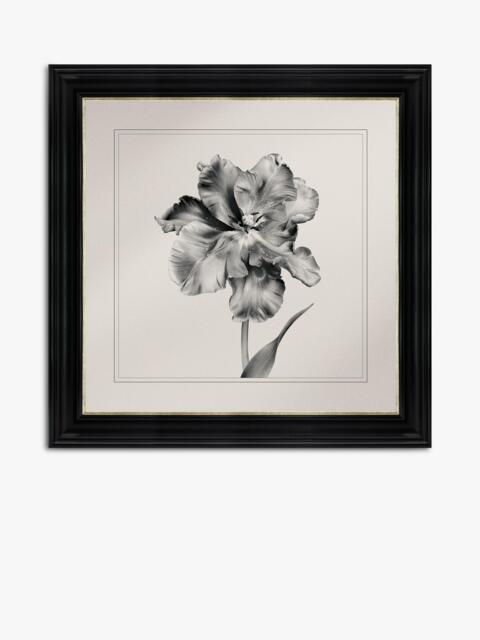Brookpace Lascelles 'Tulip II' Framed Print, 59 x 49cm, Black/White - image 1