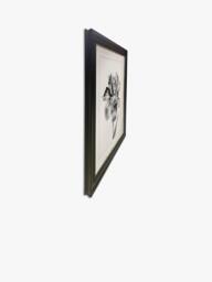 Brookpace Lascelles 'Tulip II' Framed Print, 59 x 49cm, Black/White - thumbnail 3