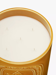 Diptyque Extra-Large Ambre Scented Candle, 1500g - thumbnail 2