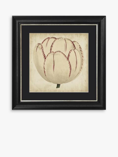 Brookpace Lascelles 'Pop Floral I' Framed Print, 49 x 49cm, Black/Cream - image 1