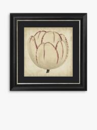 Brookpace Lascelles 'Pop Floral I' Framed Print, 49 x 49cm, Black/Cream