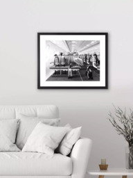 Brookpace Lascelles 'Penguins & Pelican Airplane Cabin' Framed Print & Mount, 45.5 x 55.5, Black/White - thumbnail 2