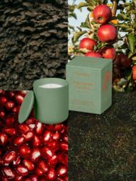 Osmology by Aery Japanese Garden Scented Candle, 280g - thumbnail 2