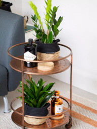 The Little Botanical Easy Care Plant Basket - thumbnail 3
