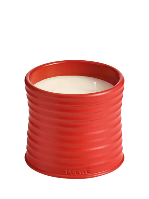LOEWE Tomato Leaves Scented Candle - image 1