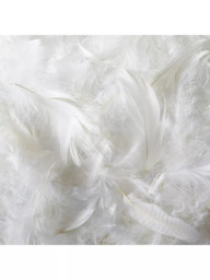 John Lewis Natural Collection Goose Feather & Down Kingsize Pillow, Medium - thumbnail 5