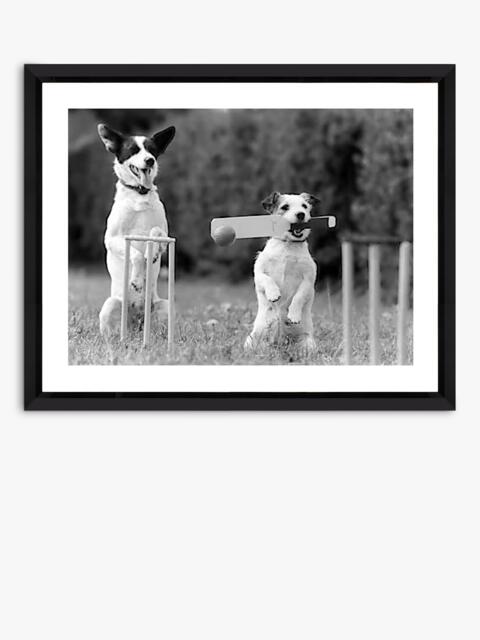 Brookpace Lascelles 'Cricket in the Park' Framed Photographic Print, 45 x 55cm, Black/White - image 1