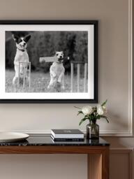 Brookpace Lascelles 'Cricket in the Park' Framed Photographic Print, 45 x 55cm, Black/White - thumbnail 2