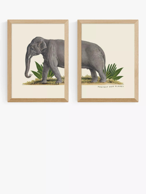 EAST END PRINTS Natural History Museum 'Elephant' Framed Print, Set of 2 - image 1