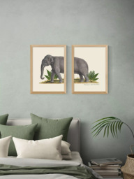 EAST END PRINTS Natural History Museum 'Elephant' Framed Print, Set of 2 - thumbnail 2