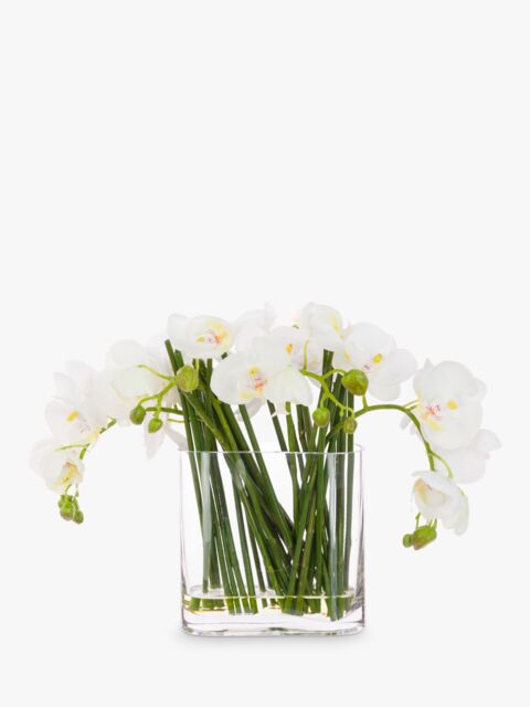 Floralsilk Artificial Contemporary Phalaenopsis Orchid in Glass Vase - image 1