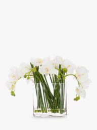 Floralsilk Artificial Contemporary Phalaenopsis Orchid in Glass Vase - thumbnail 1