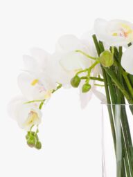 Floralsilk Artificial Contemporary Phalaenopsis Orchid in Glass Vase - thumbnail 2