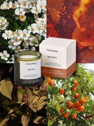 Osmology by Aery Utility Whiskey Scented Candle - thumbnail 2