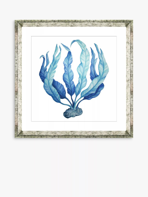 Brookpace Lascelles 'Blue Seaweed 1' Framed Print & Mount, 46 x 46cm, Blue - image 1