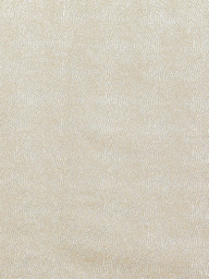 Prestigious Textiles Endless Made to Measure Curtains or Roman Blind, Magnolia - thumbnail 1