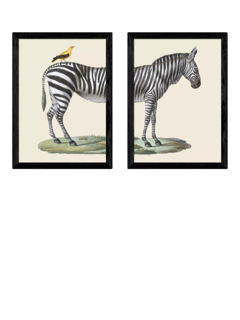 EAST END PRINTS Natural History Museum 'Zebra & Bird' Framed Print, Set of 2