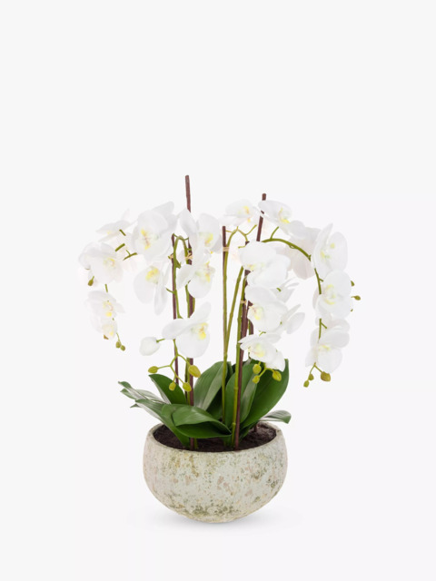 Floralsilk Artificial White Orchid in Clay Pot - image 1