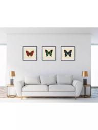 Brookpace Lascelles 'Papilio Blumei Butterfly' Framed Print & Mount, 45.5 x 45.5cm, Green/Multi - thumbnail 4