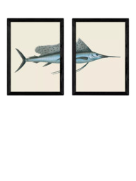 EAST END PRINTS Natural History Museum 'Swordfish' Framed Print, Set of 2