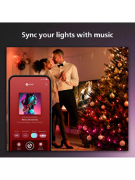 Philips Hue Festavia Smart 250 Multicolour LED Indoor/Outdoor Light String - thumbnail 6