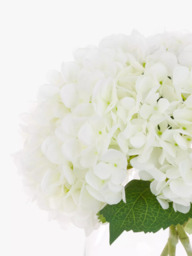 Floralsilk Artificial Hydrangeas in Globe Vase, White - thumbnail 2