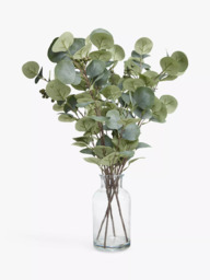John Lewis Artificial Eucalyptus in Glass Vase, Green - thumbnail 1
