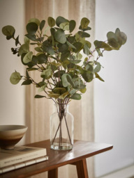 John Lewis Artificial Eucalyptus in Glass Vase, Green - thumbnail 2