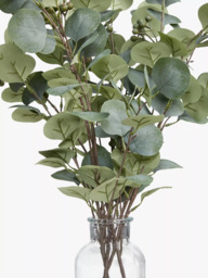 John Lewis Artificial Eucalyptus in Glass Vase, Green - thumbnail 3