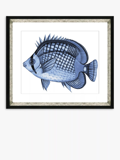 Brookpace Lascelles 'Blue Fish 2' Framed Print & Mount, 36 x 46cm, Blue - image 1