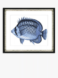 Brookpace Lascelles 'Blue Fish 2' Framed Print & Mount, 36 x 46cm, Blue