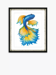 Brookpace Lascelles Fancy Fish 1' Framed Print & Mount, 56 x 46cm, Orange/Blue - thumbnail 1
