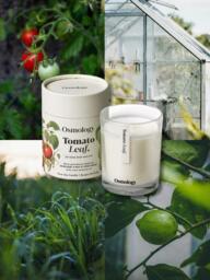 Osmology by Aery Tomato Leaf Scented Candle, 200g - thumbnail 2