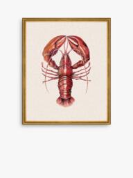 Brookpace Lascelles 'Lobster' Framed Canvas Print, 38 x 31cm, Red - thumbnail 1
