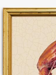 Brookpace Lascelles 'Lobster' Framed Canvas Print, 38 x 31cm, Red - thumbnail 4