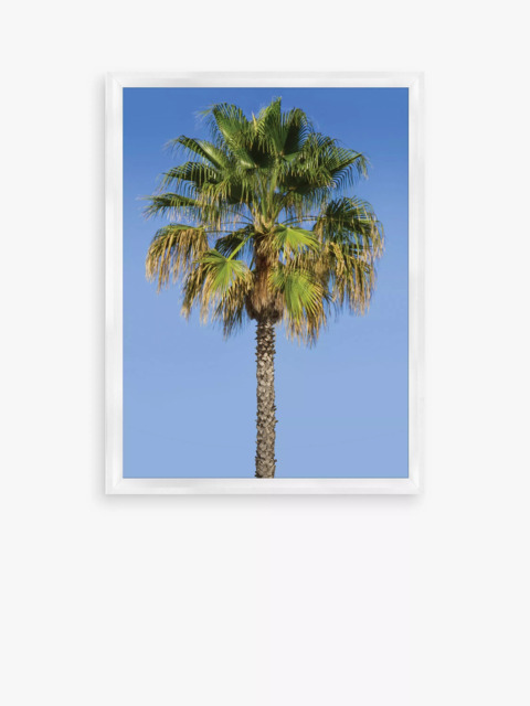 Brookpace Lascelles 'Blue Sky Palm 2' Framed Print & Mount, 66 x 46cm, Blue/Green - image 1