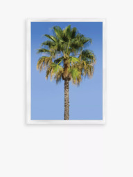 Brookpace Lascelles 'Blue Sky Palm 2' Framed Print & Mount, 66 x 46cm, Blue/Green - thumbnail 1