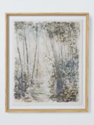 John Lewis 'Forrest Walk' Framed Print, 60 x 50cm, Multi