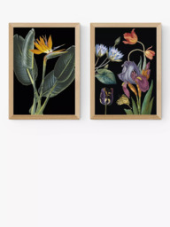EAST END PRINTS Natural History Museum 'Dark Floral' Framed Print, Set of 2 - thumbnail 1
