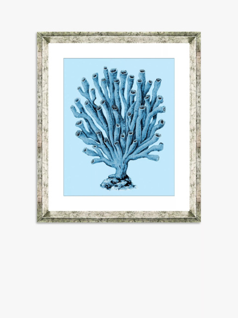 Brookpace Lascelles 'Blue Coral 2' Framed Print & Mount, 46 x 36cm, Blue - image 1