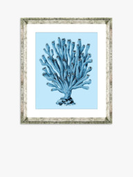 Brookpace Lascelles 'Blue Coral 2' Framed Print & Mount, 46 x 36cm, Blue - thumbnail 1